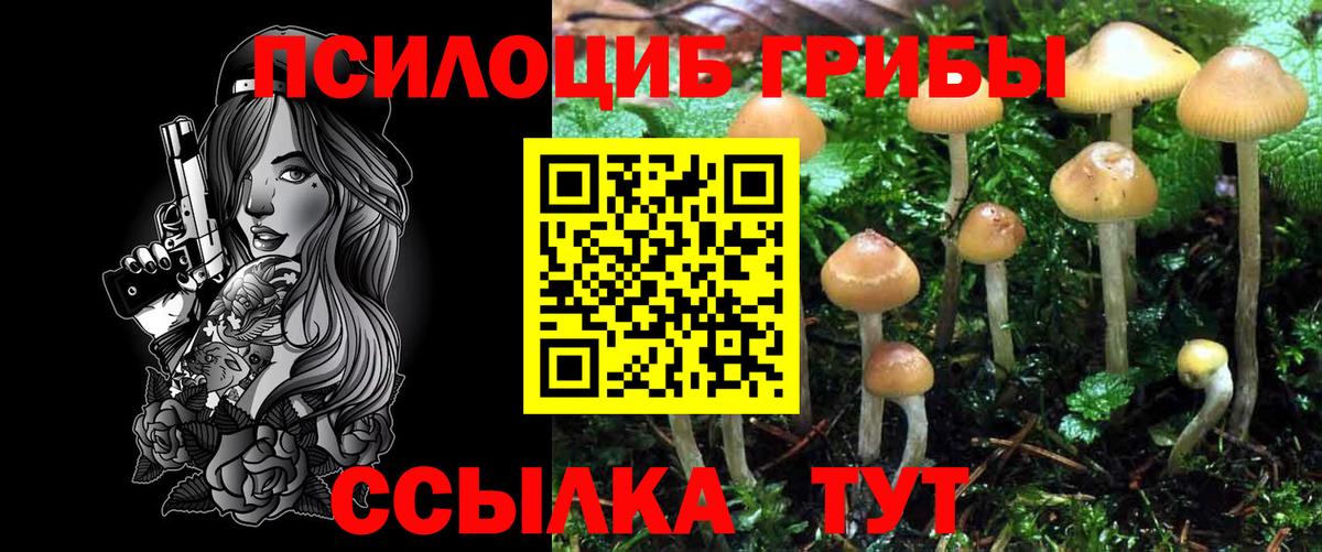 где можно купить   Псилоцибиновые грибы GOLDEN TEACHER  Вход с VPN  Тихвин 