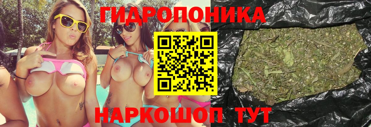 Тихвин  Шишки марихуана White Widow  Бошки марихуана планчик  Конопля Bruce Banner  Каннабис Bruce Banner  Вход с VPN 